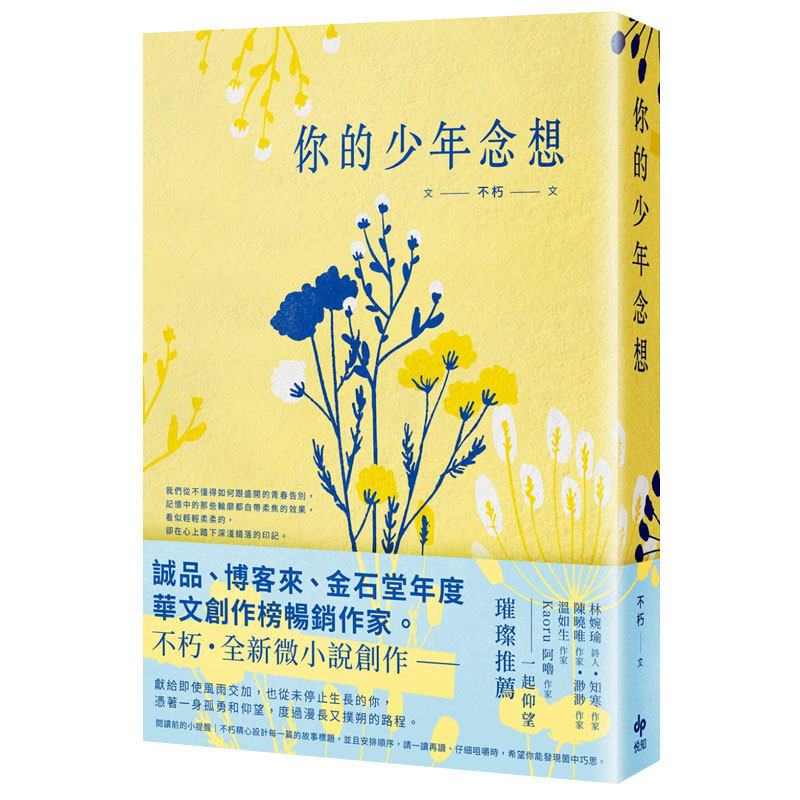 【现货】你的少年念想 港台原版文学小说进口图书书籍