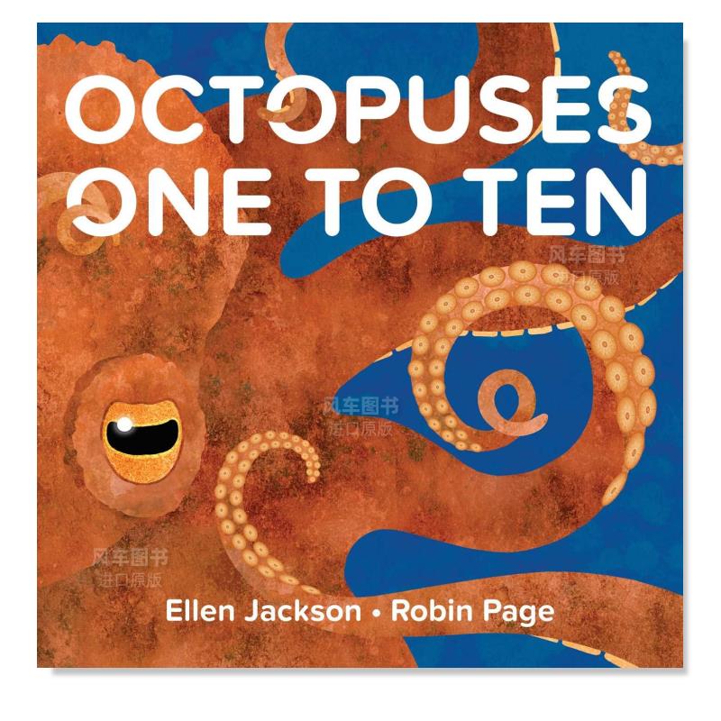 章鱼的10个小知识OctopusesOn