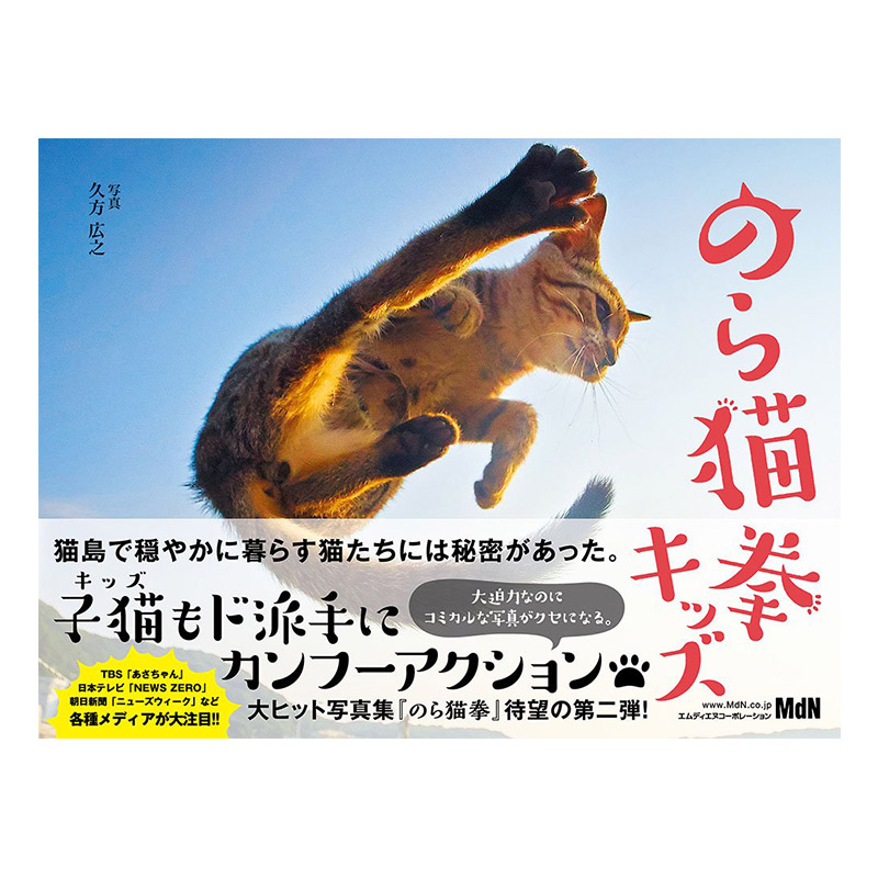 【现货】野猫拳 小猫咪版 のら猫拳キッズ 野良猫拳趣味写真 进口日文