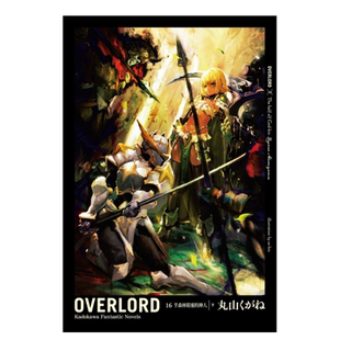 【现货】轻小说 OVERLORD(16)半森林精灵的神人(下) 不死者之王 丸山黄金 台版轻小说繁体中文原版进口图书 overlord小说16 骨王