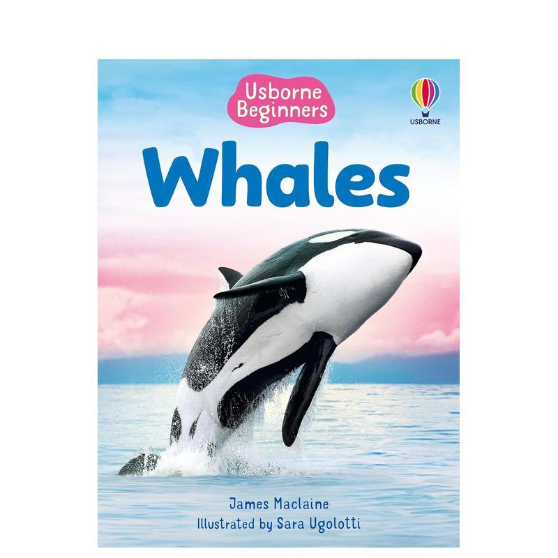 鲸鱼入门指南 Beginner