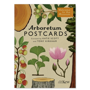 【现货】欢迎来到博物馆系列 植物园明信片 Arboretum Postcards 英文原版树木图鉴插画青少年英语课外阅读自然百科普图书礼物