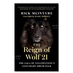 狼21 現貨 The Wolf Reign 英文原版 圖書 進口外版