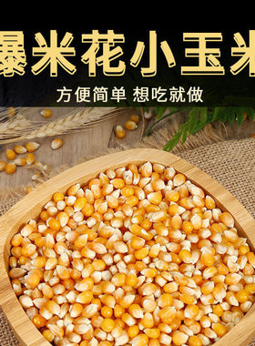 山东农家自种圆形玉米粒