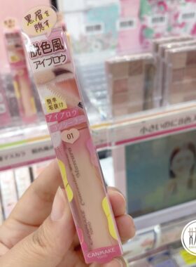 日本本土CANMAKE井田染眉膏自然日常眉毛膏日系脱色留色长久4g