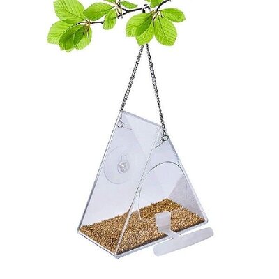 【TopPicks】BirdFtngl