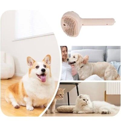 SteamBrushFoCGentlddi