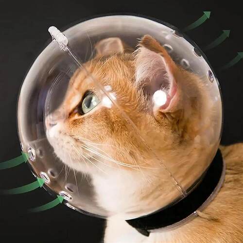 Breathable Sturdy Muzzle Mask Cat Head Cover Space Hood Ball