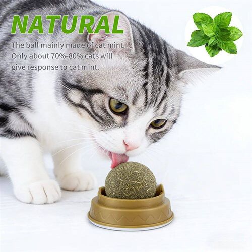 2-6PCS Cat Mint Toy Rotating Cat Mint Ball Baby Cat Snacks C