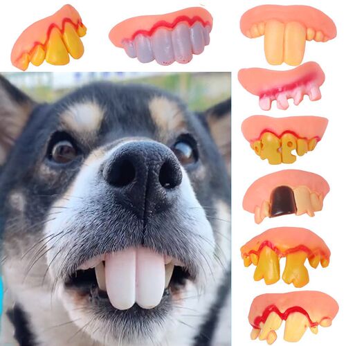 False Teeth For Dog Funny Dentures Pet Decorating Supplies