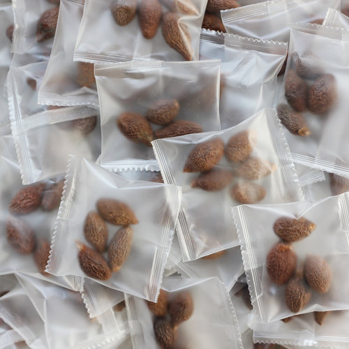 7加蓝胖大海保鲜小包装颗颗精选
