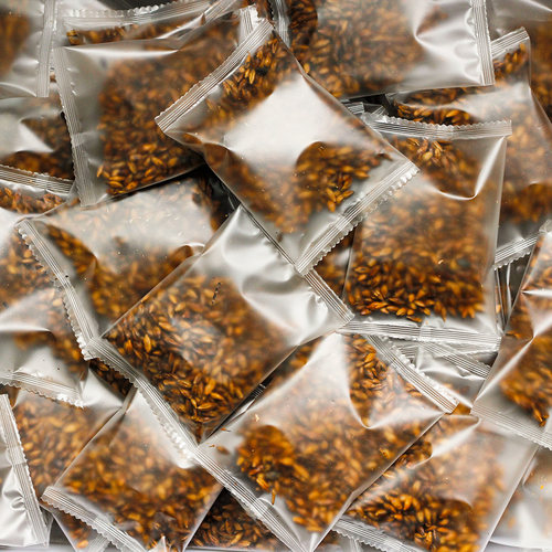 分袋装更新鲜易保存浓香大麦茶