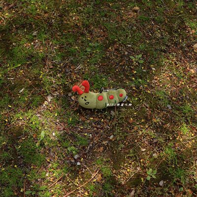 TUKATA韩国代购昆虫动物钥匙链