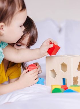 出口瑞士儿童宝宝几何形状积木多孔配对早教益智拼装玩具12个月-3