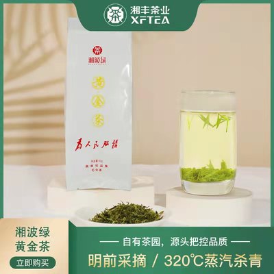 新茶春茶特级毛尖明前茶叶绿茶