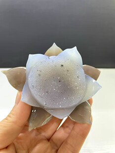 爆款天然水晶原石打磨工艺品家居装饰摆件海纹石莲花摆件生日礼物