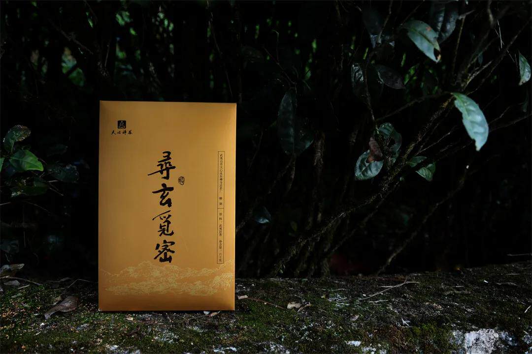 天心禅茶 寻玄觅密 品鉴装 20g 2泡装