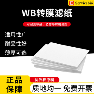 赛维尔WB转印滤纸薄款/厚款蛋白转膜滤纸western blot实验室专用