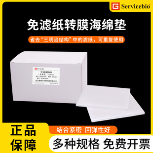 赛维尔western blot转膜海绵湿转转印海绵垫衬垫WB免滤纸转印棉