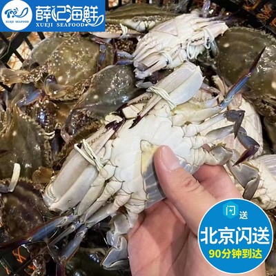 500g3-5只鲜活三角蟹二母蟹肉蟹