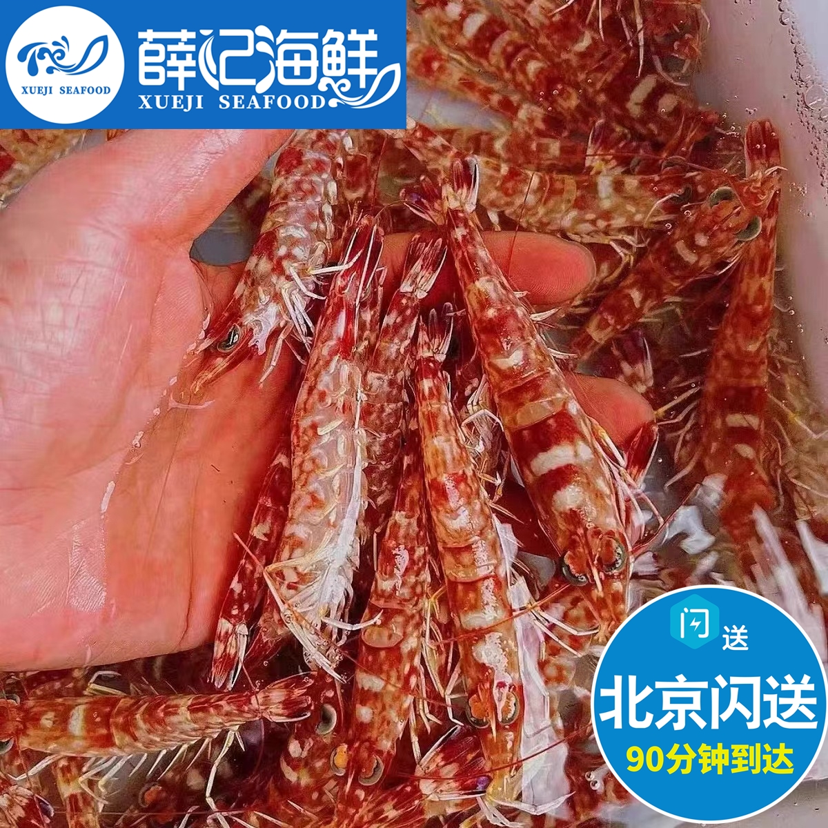 鲜活樱花虾即食生吃新鲜日料刺身