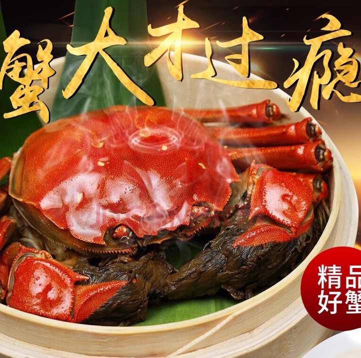 北京闪送  10只 任选 公4.6-4.3两 母3.8-4两 现货鲜活河蟹大闸蟹