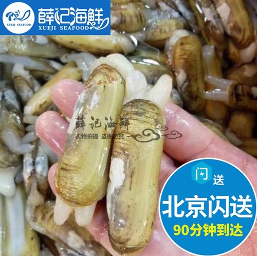 500g北京闪送鲜活蛏子 新鲜海鲜肉肥双头大蛏子 无沙水产