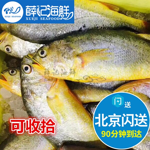 7-2斤1条 北京闪送黄花鱼冰鲜清蒸美味黄花大