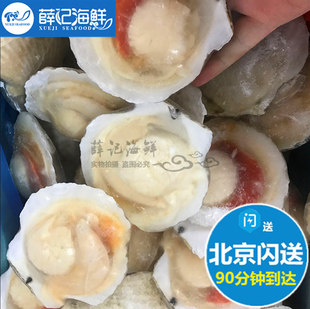 单只冷冻扇贝半壳虾夷扇贝海鲜烧烤食材水产品