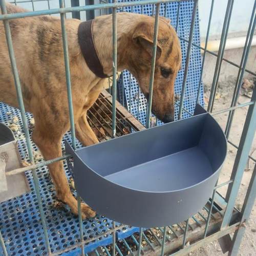 适合各种笼具防打翻挂钩万字挂钩