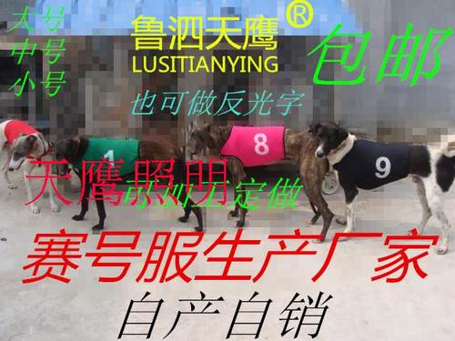 惠比赛道夜光狗服格力犬