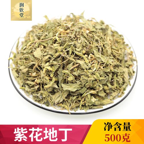紫花地丁草中草药材紫花地丁草