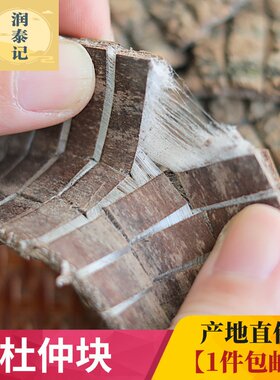 老树拉丝杜仲煲汤泡酒