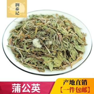 蒲公英叶500g蒲公草蒲公英根蒲公英茶中药材花草茶蒲公英根茶包邮