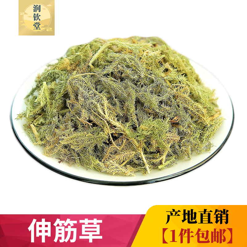 野生伸筋草500g 牛尾蕨 牛尾菜...