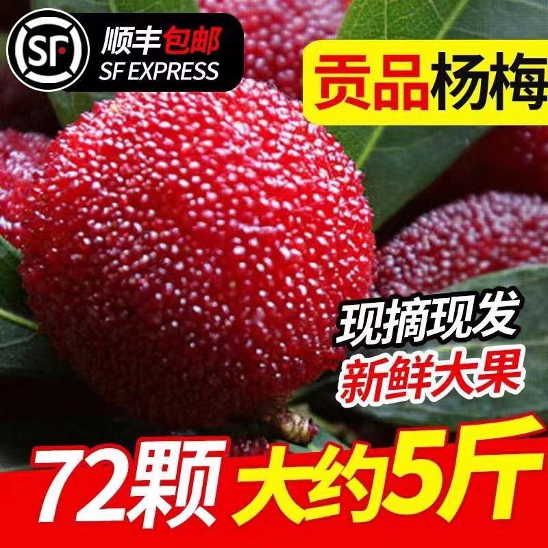 72颗5斤超大！仙居东魁杨梅鲜果新鲜水果比乒乓球大特果当季