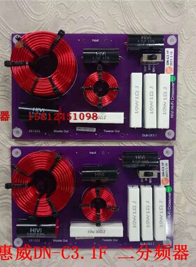 广州惠威专卖店 DN-C3.1F发烧8寸二分频器适配C8/C8N+Q2R/Q3/Q4B