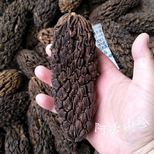 广西金秀大瑶山传统滋补品其他农家土特产厚朴果干货食材一斤包邮 - 封面