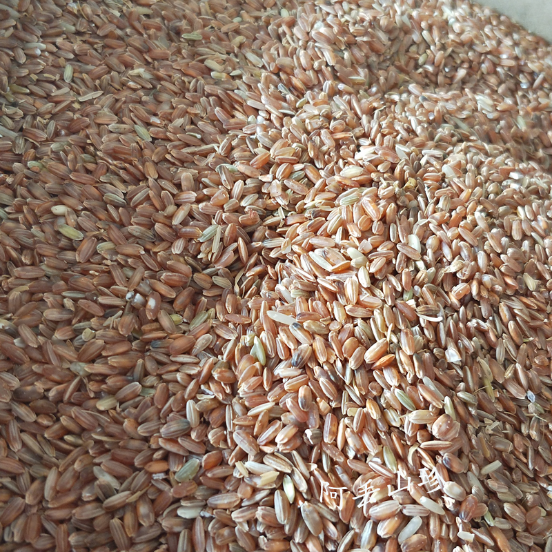 广西食用农产品煮粥大米