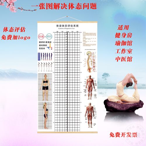 体态评估表健身房瑜伽馆墙贴挂画产后修复体测图私教矫正评估图