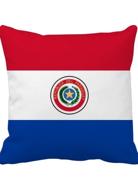 家象征符号图案方形抱枕靠枕沙发靠垫双面含芯礼物学校幼儿园装饰