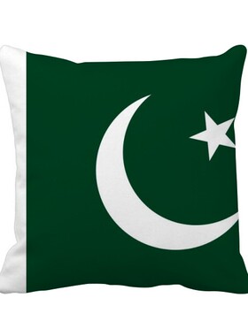 家象征符号图案方形抱枕靠枕沙发靠垫双面含芯礼物学校幼儿园装饰