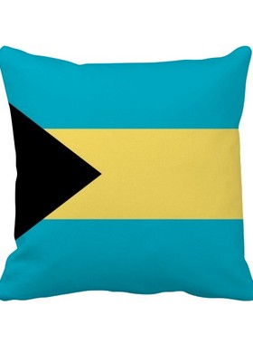 家象征符号图案方形抱枕靠枕沙发靠垫双面含芯礼物学校幼儿园装饰