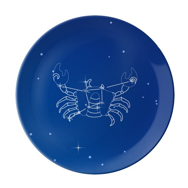 星空陶瓷8寸礼物学校幼儿园餐具