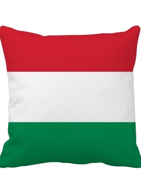 家象征符号图案方形抱枕靠枕沙发靠垫双面含芯礼物学校幼儿园装饰