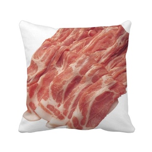 卷生肉食物美味靠枕沙发靠垫双面含芯礼物方形抱枕学校幼儿园装饰