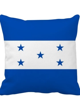 家象征符号图案方形抱枕靠枕沙发靠垫双面含芯礼物学校幼儿园装饰