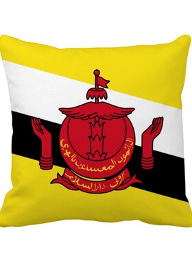 家象征符号图案方形抱枕靠枕沙发靠垫双面含芯礼物学校幼儿园装饰