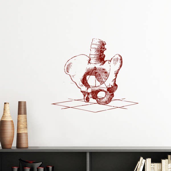 胯骨脊椎人体素描骨骼墙贴壁纸房间贴花学校幼儿园装饰