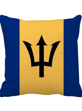 家象征符号图案方形抱枕靠枕沙发靠垫双面含芯礼物学校幼儿园装饰